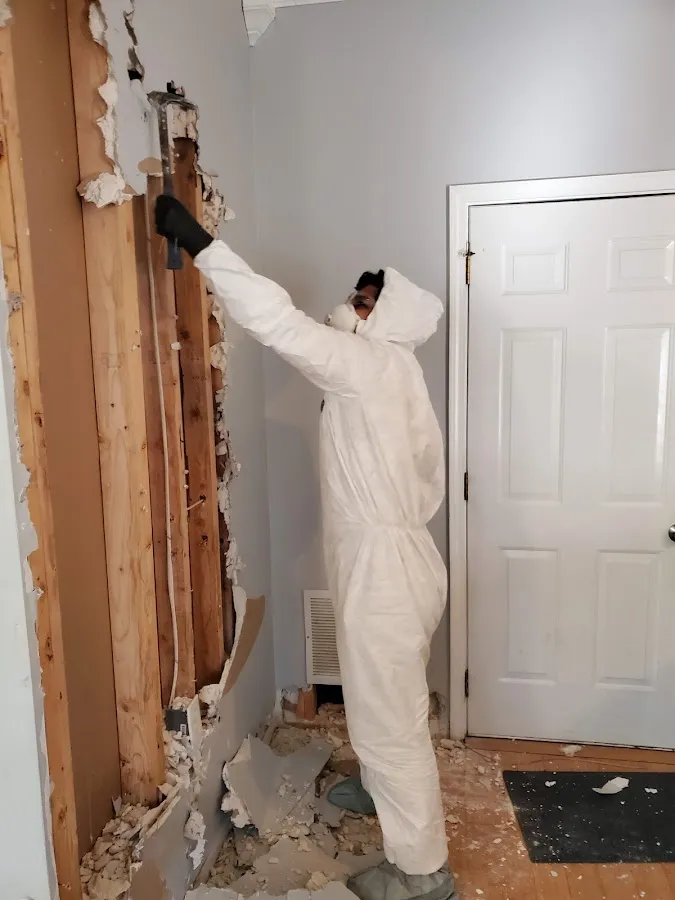 Mold Remediation & Removal in Fair Oaks, VA